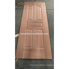 Finition de la porte principale en skinm avec porte en placage de bois et teck